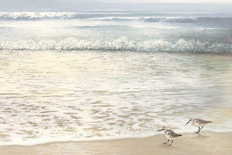 Strolling Along Black Ornate Wood Framed Art Print with Double Matting by Nawrocke, Bruce