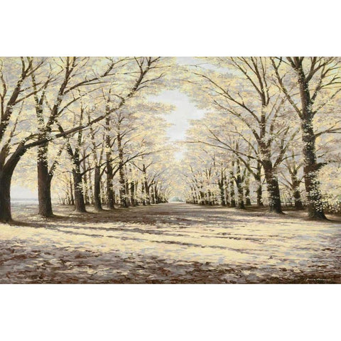 Winter Cathedral Black Modern Wood Framed Art Print with Double Matting by Nawrocke, Bruce