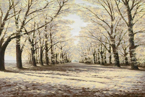 Winter Cathedral White Modern Wood Framed Art Print with Double Matting by Nawrocke, Bruce