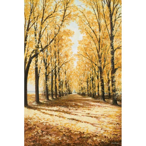 Falls Cathedral Black Modern Wood Framed Art Print by Nawrocke, Bruce