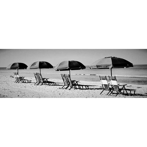 Beach Reunion White Modern Wood Framed Art Print by Peck, Gail