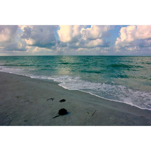 Emerald Sea White Modern Wood Framed Art Print by Peck, Gail