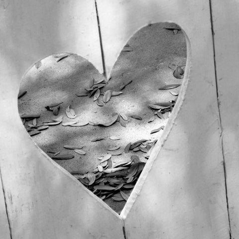 B-W Heart Full of Love Black Modern Wood Framed Art Print by Peck, Gail