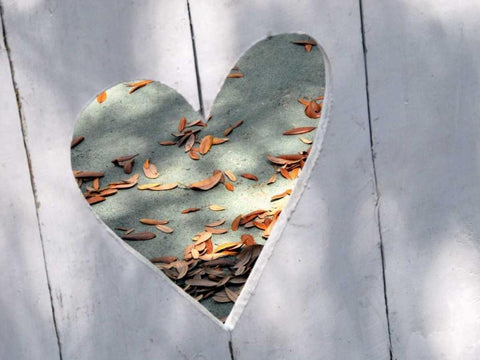 Heart Full of Love White Modern Wood Framed Art Print with Double Matting by Peck, Gail