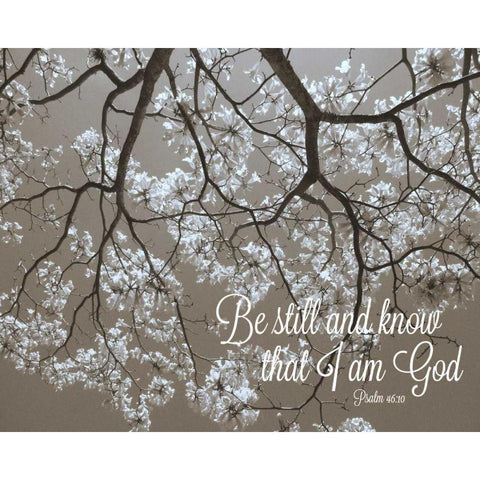 Be Still Gold Ornate Wood Framed Art Print with Double Matting by Peck, Gail