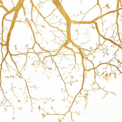 Branch Silhouette II Black Modern Wood Framed Art Print with Double Matting by Peck, Gail