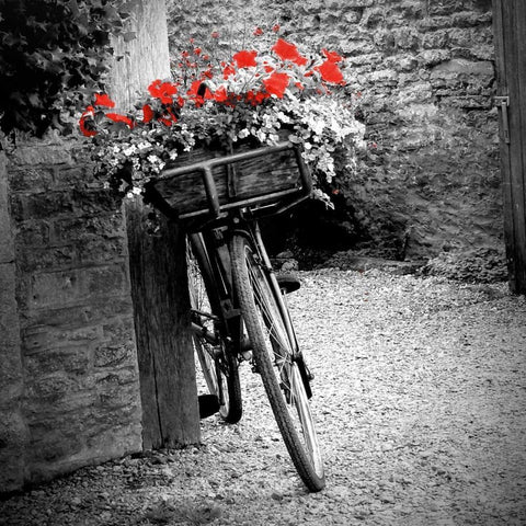 Flower Bike Square Black Modern Wood Framed Art Print by Peck, Gail