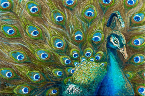 Wild Feathers White Modern Wood Framed Art Print with Double Matting by Hakimipour, Tiffany