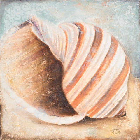 Seashell Collection I Gold Ornate Wood Framed Art Print with Double Matting by Pinto, Patricia