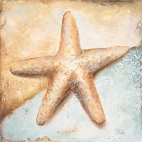 Seashell Collection II White Modern Wood Framed Art Print with Double Matting by Pinto, Patricia