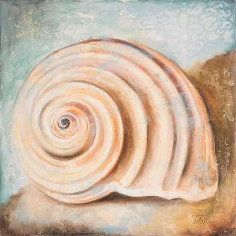 Seashell Collection IV White Modern Wood Framed Art Print by Pinto, Patricia