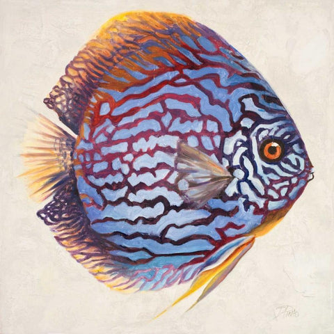 Little Fish I White Modern Wood Framed Art Print with Double Matting by Pinto, Patricia