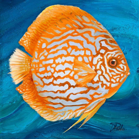 Vibrant Sea Life II White Modern Wood Framed Art Print by Pinto, Patricia
