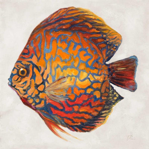 Little Fish II Black Modern Wood Framed Art Print by Pinto, Patricia