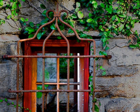 Behind Bars Black Ornate Wood Framed Art Print with Double Matting by Peck, Gail
