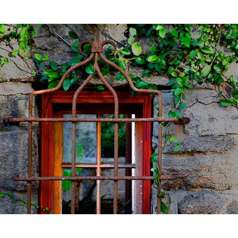 Behind Bars Gold Ornate Wood Framed Art Print with Double Matting by Peck, Gail