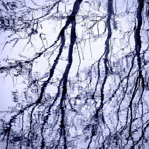 Branches on Purple Black Ornate Wood Framed Art Print with Double Matting by Peck, Gail