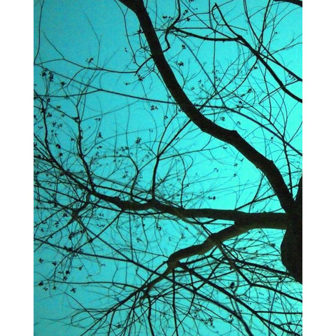 Branches on Teal I White Modern Wood Framed Art Print by Peck, Gail