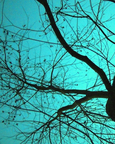Branches on Teal I White Modern Wood Framed Art Print with Double Matting by Peck, Gail