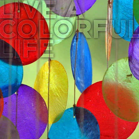 Colorful Life White Modern Wood Framed Art Print with Double Matting by Peck, Gail