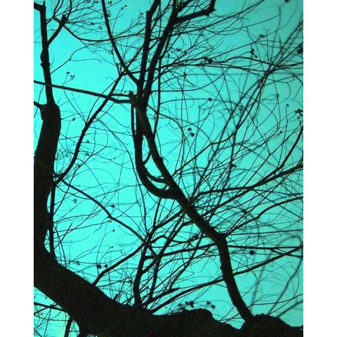 Branches on Teal II Black Modern Wood Framed Art Print by Peck, Gail