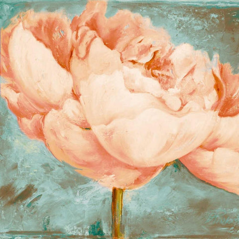 Beautiful Peonies Square II White Modern Wood Framed Art Print with Double Matting by Pinto, Patricia