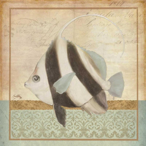 Vintage Fish I White Modern Wood Framed Art Print with Double Matting by Medley, Elizabeth