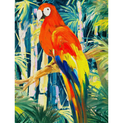 Parrots in Tropics I White Modern Wood Framed Art Print by Slivka, Jane
