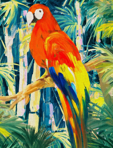 Parrots in Tropics I White Modern Wood Framed Art Print with Double Matting by Slivka, Jane