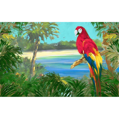 Parrot By The Ocean White Modern Wood Framed Art Print by Slivka, Jane