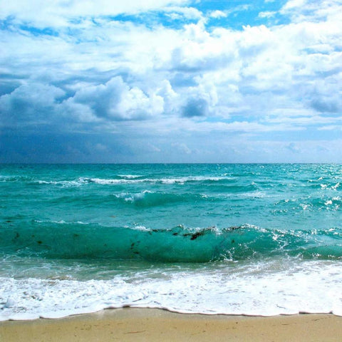 Teal Surf II Black Modern Wood Framed Art Print with Double Matting by Biscardi, Nicholas