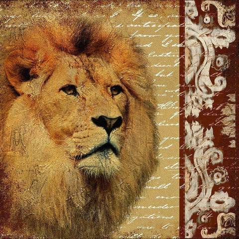 Safari Script I White Modern Wood Framed Art Print with Double Matting by Pinto, Patricia