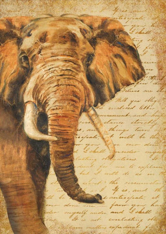 Madagascar Safari III Black Ornate Wood Framed Art Print with Double Matting by Pinto, Patricia