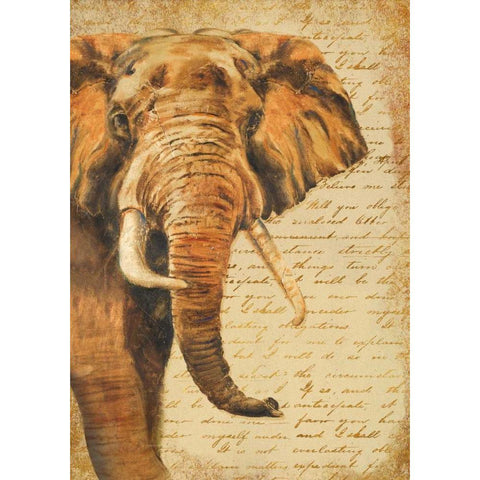 Madagascar Safari III Black Modern Wood Framed Art Print with Double Matting by Pinto, Patricia