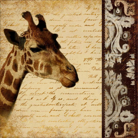 Madagascar Safari I Black Modern Wood Framed Art Print with Double Matting by Pinto, Patricia