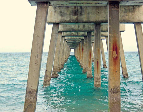 Juno Pier Black Ornate Wood Framed Art Print with Double Matting by Saghini, Lisa Hill