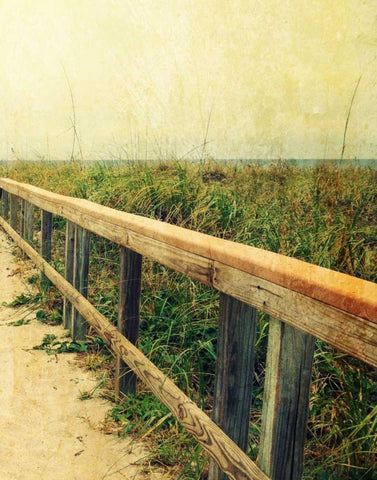 Beach Rails II White Modern Wood Framed Art Print with Double Matting by Saghini, Lisa Hill