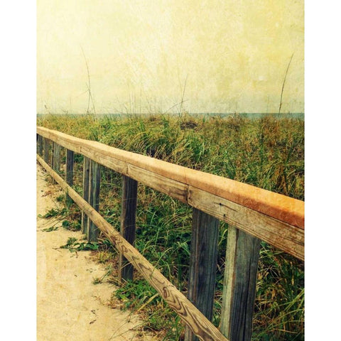 Beach Rails II Black Modern Wood Framed Art Print with Double Matting by Saghini, Lisa Hill