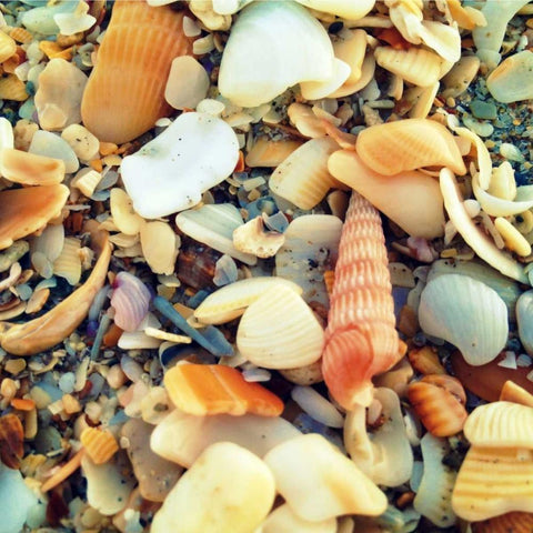 Sea Glass II Gold Ornate Wood Framed Art Print with Double Matting by Saghini, Lisa Hill