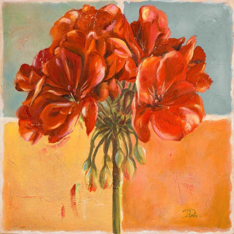 Red Geraniums I Black Modern Wood Framed Art Print with Double Matting by Pinto, Patricia