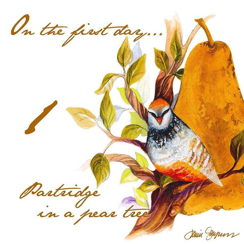 Partrige in a Pear Tree White Modern Wood Framed Art Print with Double Matting by Gaynor, Janice