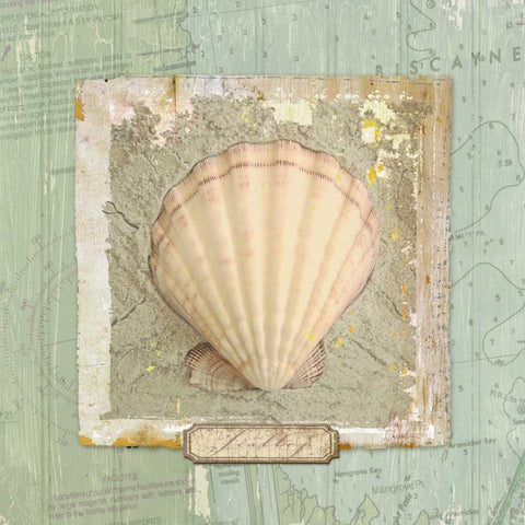 Seashore Collection II White Modern Wood Framed Art Print with Double Matting by Medley, Elizabeth