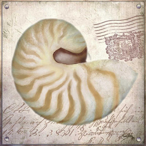 Beach Shell III Gold Ornate Wood Framed Art Print with Double Matting by Medley, Elizabeth