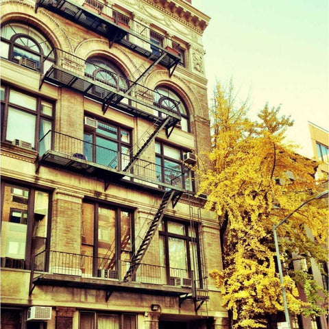 Chelsea Afternoon I Black Modern Wood Framed Art Print by Acosta, Juliana