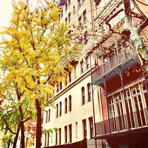 Chelsea Afternoon II White Modern Wood Framed Art Print by Acosta, Juliana