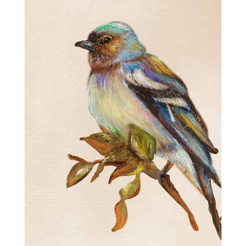 Bird on Perch II Black Modern Wood Framed Art Print with Double Matting by Pinto, Patricia