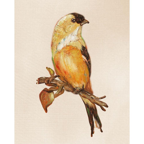 Bird on Perch III White Modern Wood Framed Art Print by Pinto, Patricia