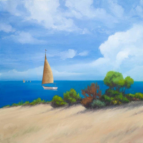 Sailboat on Coast I Black Modern Wood Framed Art Print by Rhyan, Vivien