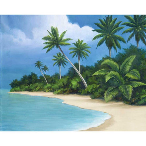 Palm Beach II Black Modern Wood Framed Art Print with Double Matting by Rhyan, Vivien