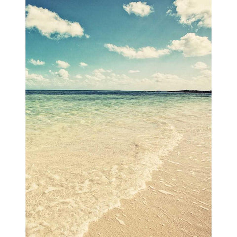Bimini Day I Black Modern Wood Framed Art Print by Bryant, Susan